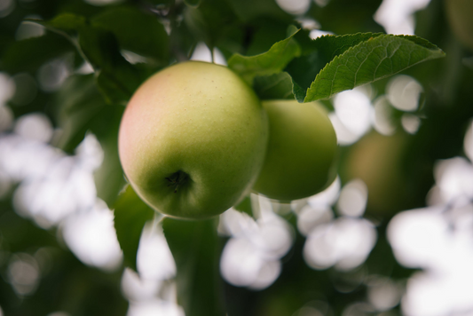 Pourquoi consommer des produits locaux