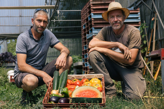 GAEC les Jardins du Banchet à Bilieu pour le magasin de producteur Producteurs de Saveurs Pont de Beauvoisin magasin bio