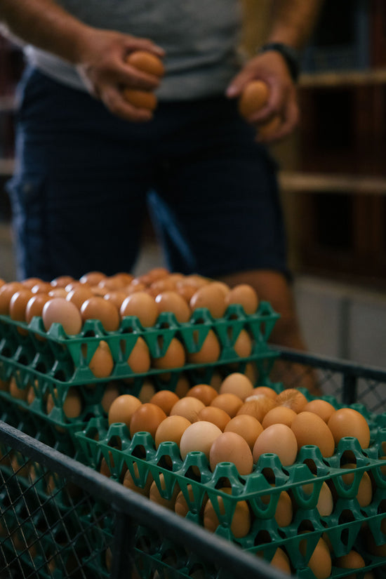 La Ferme de la Renounière à Merlas pour le magasin de producteur Producteurs de Saveurs Pont de Beauvoisin magasin bio