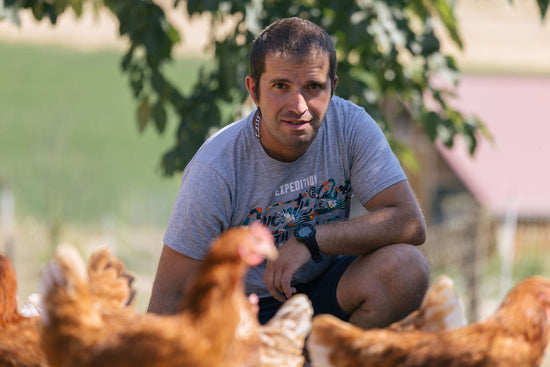 La Ferme de la Renounière à Merlas pour le magasin de producteur Producteurs de Saveurs Pont de Beauvoisin magasin bio