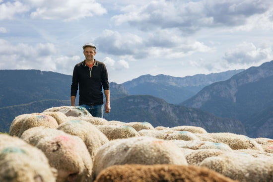 la bergerie de saint pierre fromage viande brebis producteurs de saveurs le pont de beauvoisin