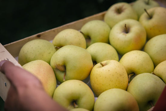Les Vergers du Fort à la Motte Servolex pour le magasin de producteur Producteurs de Saveurs Pont de Beauvoisin magasin bio