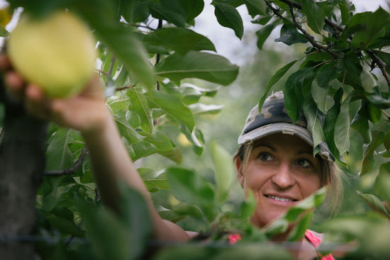 Les Vergers du Fort à la Motte Servolex pour le magasin de producteur Producteurs de Saveurs Pont de Beauvoisin magasin bio