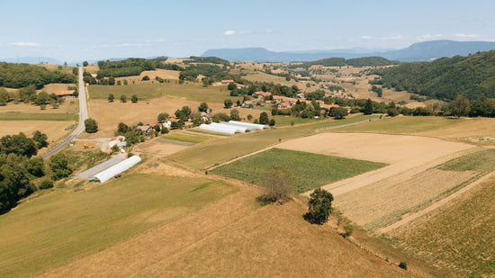 GAEC les Jardins du Banchet à Bilieu pour le magasin de producteur Producteurs de Saveurs Pont de Beauvoisin magasin bio